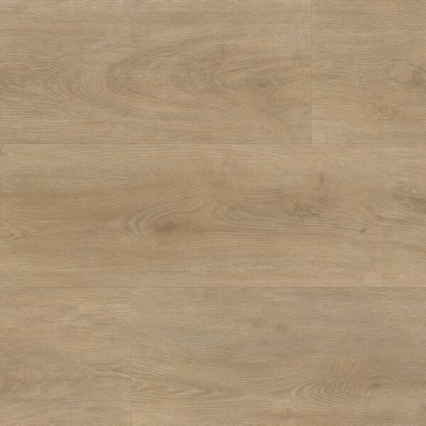 Robusto dryback natural